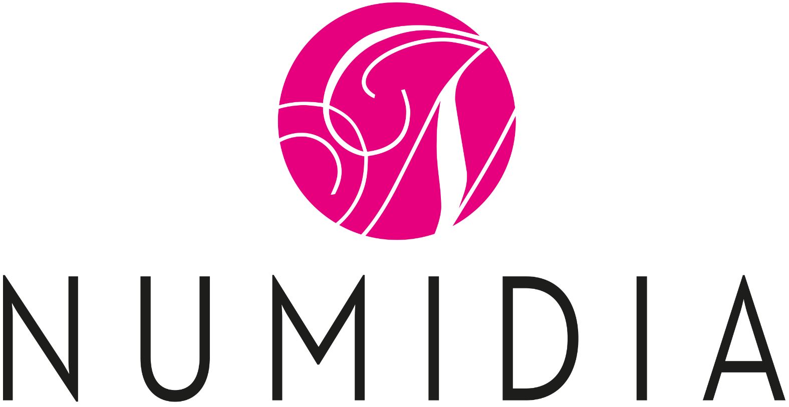 logo numidia